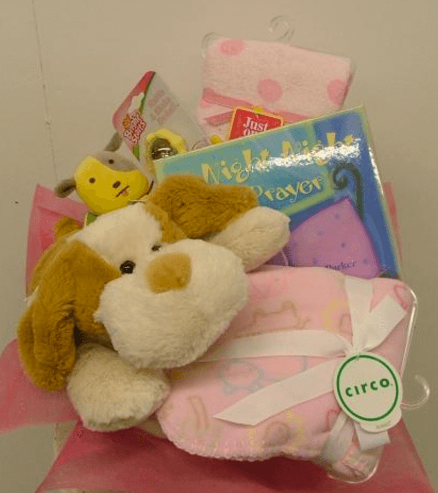 newborn baby gift baskets