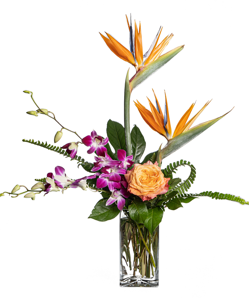 Ludema's Floral and Garden | Delivering Fresh Flowers to Grand Rapids ...