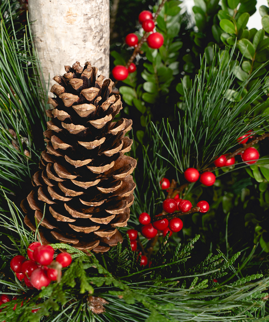 Designer’s Choice: Seasonal
