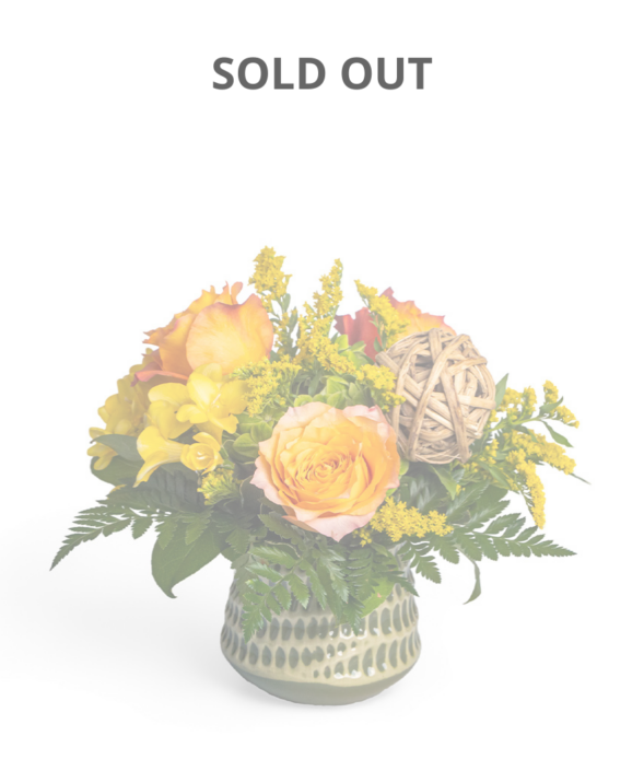Petoskey – Sold Out